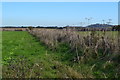 SU2735 : Field edge east of Wood Way by David Martin