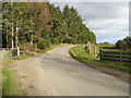 Minor road and woodland at Nether Wheedlemont