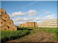 A field full of stacks of straw bales