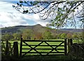 Looking across The Vale of Edale