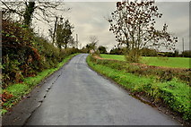 H4569 : Blackfort Road, Lissan by Kenneth  Allen