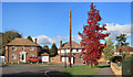 Colourful Tree, Walker Road