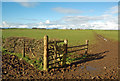 NS3630 : Fields Near Crookside Farm by Mary and Angus Hogg