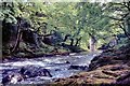 The River Dart below New Bridge