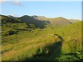 NH0518 : Path through Glen Affric by Richard Webb
