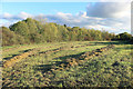 Hay Field alongside Green Lane