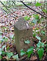 Boundary Stone