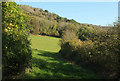 Field above Axbridge