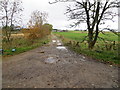 Track leading to Winterton