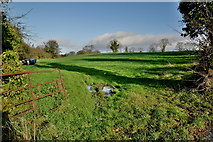 H4772 : An open field, Mullaghmore by Kenneth  Allen
