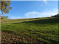 Hillside grazing off Huddersfield Road (A62)