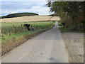 Minor road at the entrance to Greens of Blairock