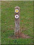 SO8681 : North Worcestershire Way nmarker post by Roger  D Kidd