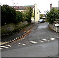 Peppercorn Lane, Brecon