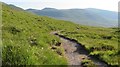 NH0618 : Path through Glen Affric by Richard Webb