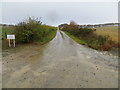 Hedge-lined farm track to Boghead