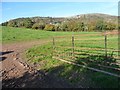 Farmland between the Grwyne Fawr and the Grwyne Fechan