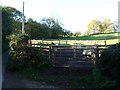 Penned sheep at Pont Esgob