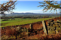 Cleveland Hills from Easby Bank