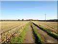 Field  track  and  bridleway  toward  The Firs