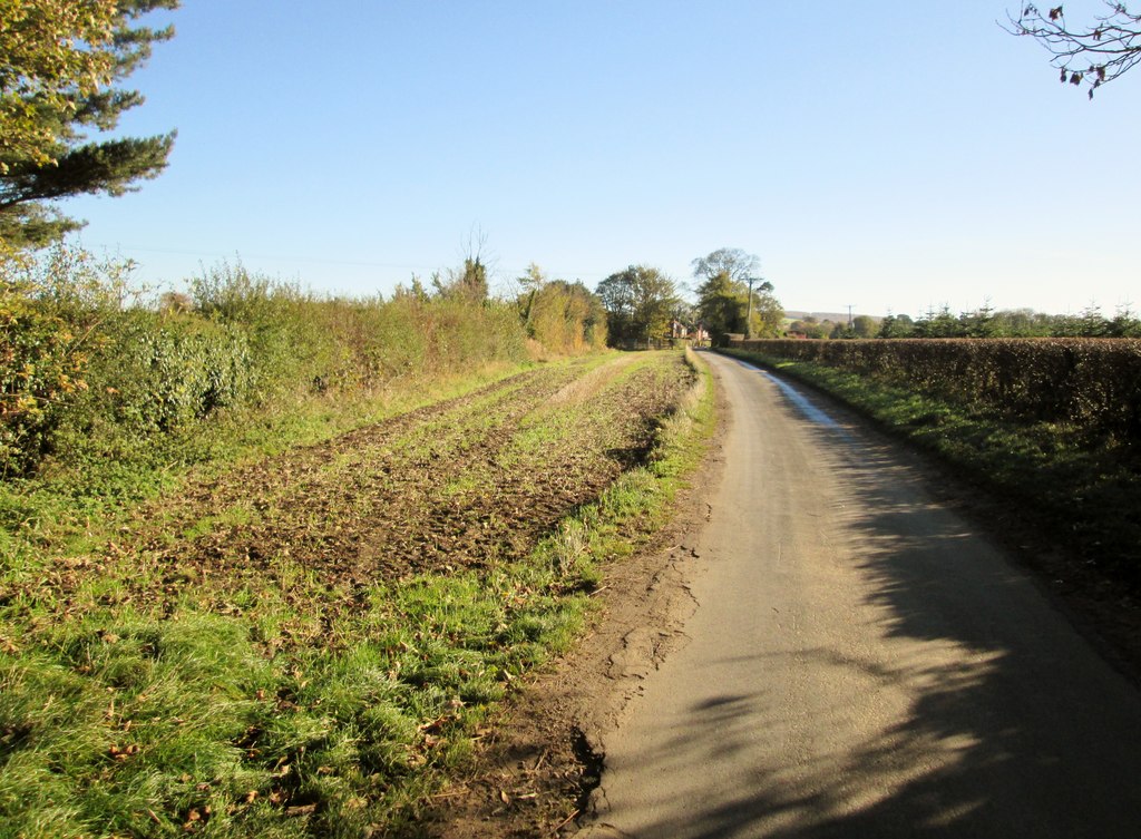 A Cultivated Strip Alongside Outgang © Martin Dawes Geograph