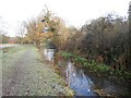 River Mimram in Welwyn