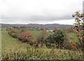 The boundary hedgerow of the former Forkhill Rectory