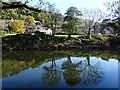 Trees reflected in the River Wye