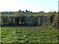 Footpath crossroads, Greasley