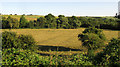 Ebble valley near Bishopstone