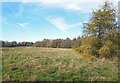 The Lanes Golf Course (disused)