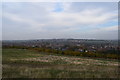 South Elmsall from Frickley country park.