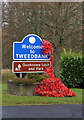 A poppy display at Tweedbank