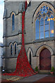 A poppy display at Selkirk Parish Church