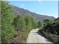 NH1521 : Road on the south side of Loch Affric by Richard Webb