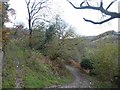 Junction of paths near Winsford