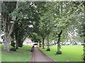 Tree lined walk, Carstairs