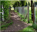 Path past the eastern edge of a cricket field, Pontymister