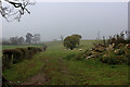 Countryside South West of Husthwaite