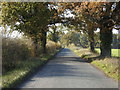 Ketteringham Road near Browick Bottom Farm