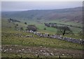 Boundary wall above Nether Hesleden