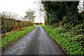 Church Road, Laragh