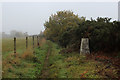 Trig Point on Beacon Banks