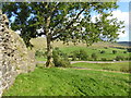 The Upper Eden Valley seen from Pendragon Castle