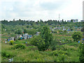 Allotments, East Ham