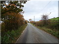 Castle Lane towards Castle Farm