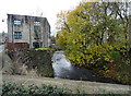 River Tame, Uppermill