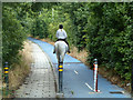 White horse and rider on blue path