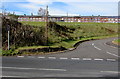 Long row of houses, Pentre Beili Terrace, Lewistown 