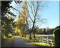 Lane near Stoke Green